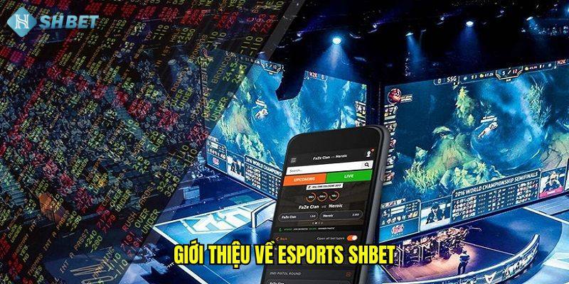 Giới thiệu về Esports SHBET